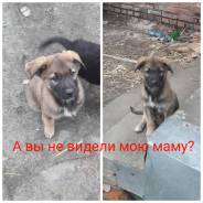 Мартин ищет дом, который нужно охранять!