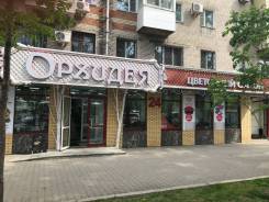 Помощник бухгалтера. ООО "Орхидея плюс". Улица Карла Маркса 124
