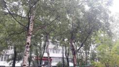 1-комнатная, улица Ленина 81. Центр, частное лицо, 34 кв. м. Дом снаружи