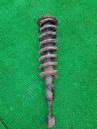 Амортизатор. Toyota Land Cruiser Prado, GRJ120, GRJ120W, GRJ121, GRJ121W, KDJ120, KDJ120W, KDJ121, KDJ121W, KZJ120, VZJ121, VZJ121W Lexus GX470, UZJ12...