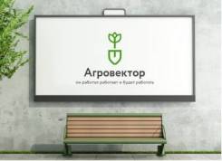 Художник-оформитель. Ооо агровектор. На дому