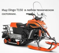 Irbis Dingo T150. ��� ���, � �������� ����