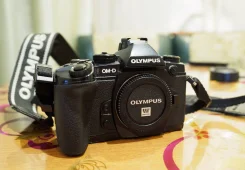Olympus E-M1. 15 - 19.9 ��, ���: ��� ���� ����
