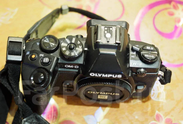 Olympus E-M1. 15 - 19.9 ��, ���: ��� ���� ����