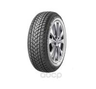 GT Radial WinterPro2