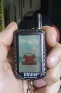 Bruin. ����