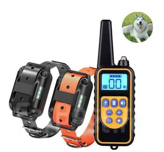 Электроошейник на двух собак. Dogtrainingcolar RT880, под заказ. Цена ...