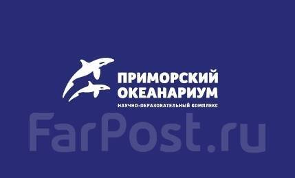 Специалист по связям с общественностью, работа в Приморский океанариум