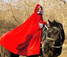 Конные прогулки