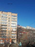 2-комнатная, улица Светланская 116. Гайдамак, проверенное агентство, 46 кв. м. Вид из окна днём