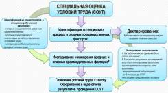 Организация в проведении специальной оценки условий труда (СОУТ)