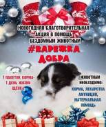 Варежка добра-новогодняя акция для кошек и собак