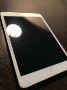 Apple iPad Mini 2 ����