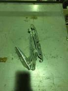 Крепление крышки багажника. Audi S6 Audi A6, 4F5, 4F5/C6