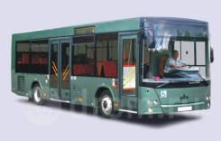 МАЗ. Автобус 206063