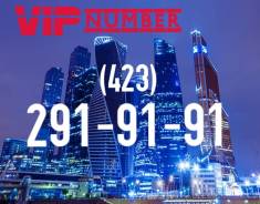291-91-91