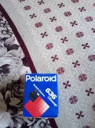 Polaroid 636. ���: ��� ���� ����