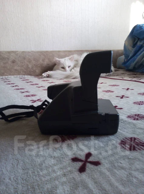 Polaroid 636. ���: ��� ���� ����