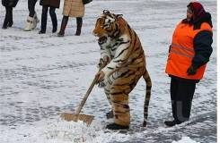 Уборка снега
