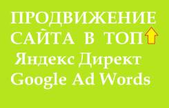 Продвижение сайта в ТОП в поиске (Яндекс и Google)