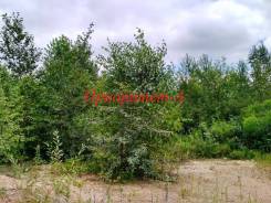 Продается зем. участок - р-н "Надеждинское полесье" ИЖС. 1 500 кв. м., собственность, от агентства недвижимости (посредник). Фото участка