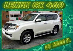 Lexus GX460. Без водителя