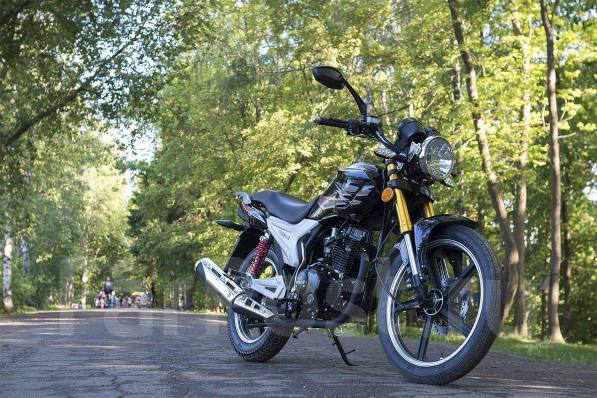 Мотоциклетный двигатель велс 250 дорожный фото