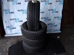 Autogrip Ecowinter. ������, ����������, 2013 ���, �����