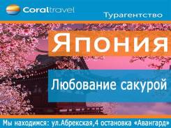 Япония. Токио. Экскурсионный тур. Любование сакурой