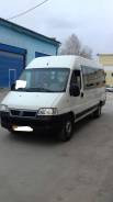 Fiat Ducato. Придётся фиат дукато автобус, 18 мест