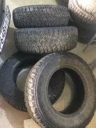 Matador MP-95 Yermak. ������, ��� ����, �/�, ����� 50�%