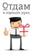 Собаки.