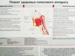 Ораторское искусство для взрослых: голос, дикция, убедительность