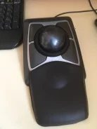 ��������. ����