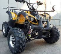 Grizzly 125. ��������, ��, ��� ������� ����