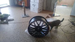 X-Race AF-01. 8.0x18", 5x114.3, ET45, �� 60,1���. ����