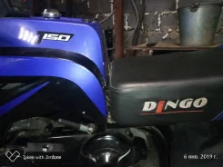 Irbis Dingo T150. ��������, ��� ���, � �������� ����