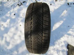 Sava Eskimo HP. ������, ��� �����, 2017 ���, �/�, ����� 5 % ����