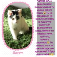 Котёнок