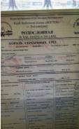 Британская кошка.
