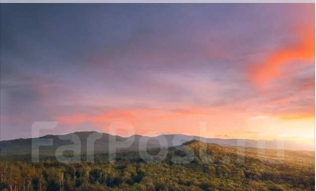 Nikon D300 ����