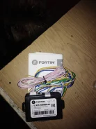 Fortin ����