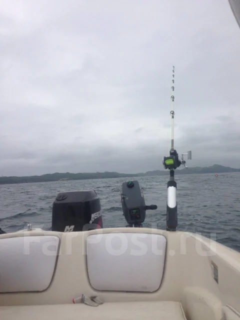 Bayliner. 2002 ���, ����� 6��., ��������� ���������, 125��.�., ������ ����