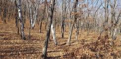 Продам участок в районе Рица. 12 000 кв. м., аренда, от частного лица (собственник). Фото участка