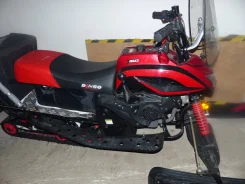 Irbis Dingo T150. ��������, ��� ���, � �������� ����