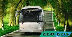 King Long XMQ6120C. KING LONG XMQ6120C, 53 места, В кредит, лизинг