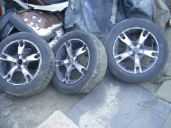 CMS. x15" ����