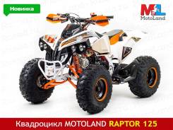MOTOLAND RAPTOR 125, 2019. исправен, без птс, без пробега. Под заказ