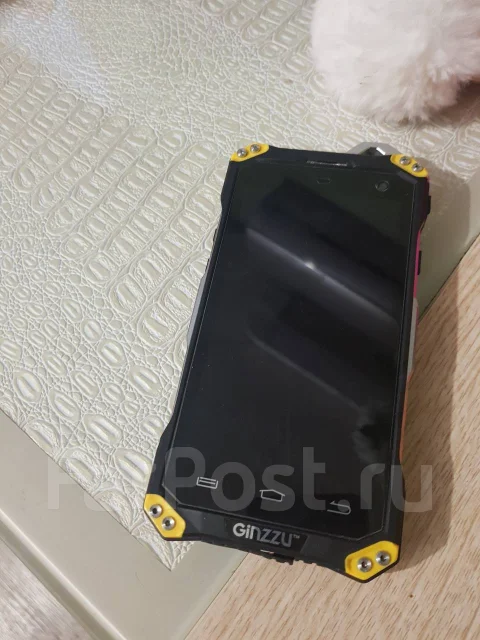 Ginzzu RS94D. �/�, ������, ������, 3G, 4G LTE, Dual-SIM, ���������� ����