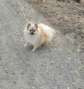����������� ����. ����